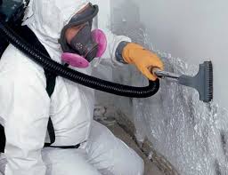 Best Commercial Mold Inspection in Carnegie, OK